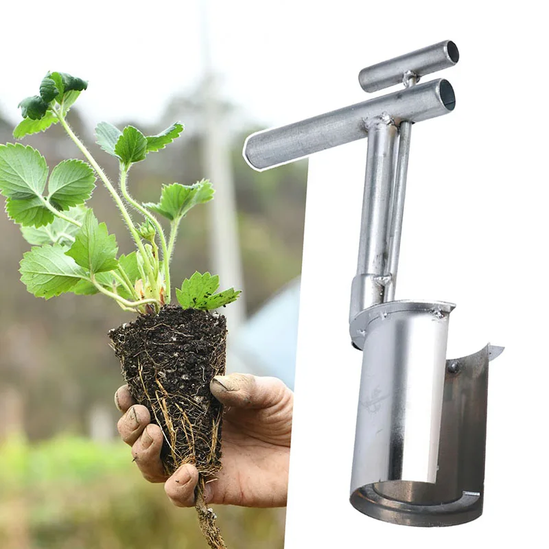 Hand-Setzwerkzeug für Jungpflanzen aus Metall - Image 3