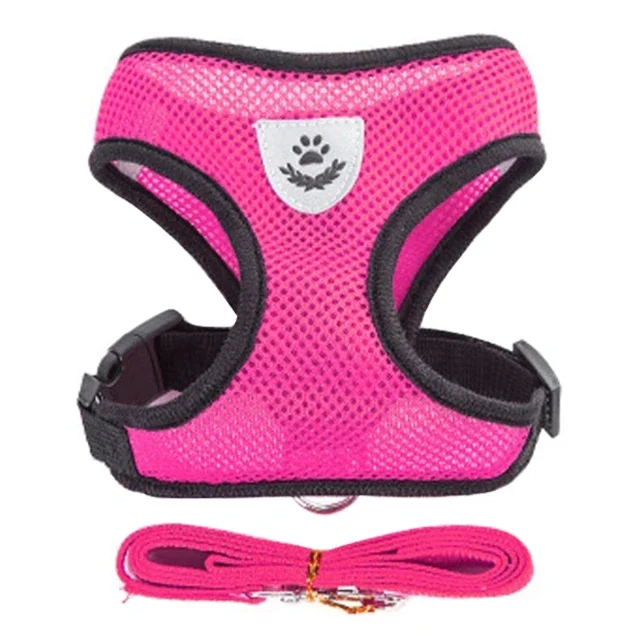 PawEase Mesh Harness Set – Verstellbares Katzen- und Kleintiergeschirr mit Leine - Image 11