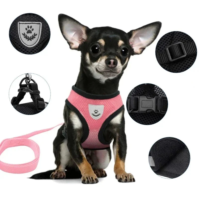 PawEase Mesh Harness Set – Verstellbares Katzen- und Kleintiergeschirr mit Leine - Image 4